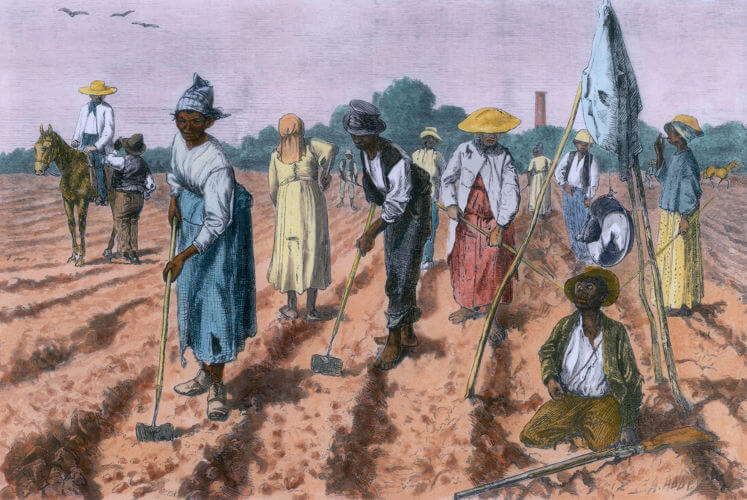 As leis abolicionistas promoveram a liberdade para filhos de escravos e escravos com mais de 60 anos de idade.